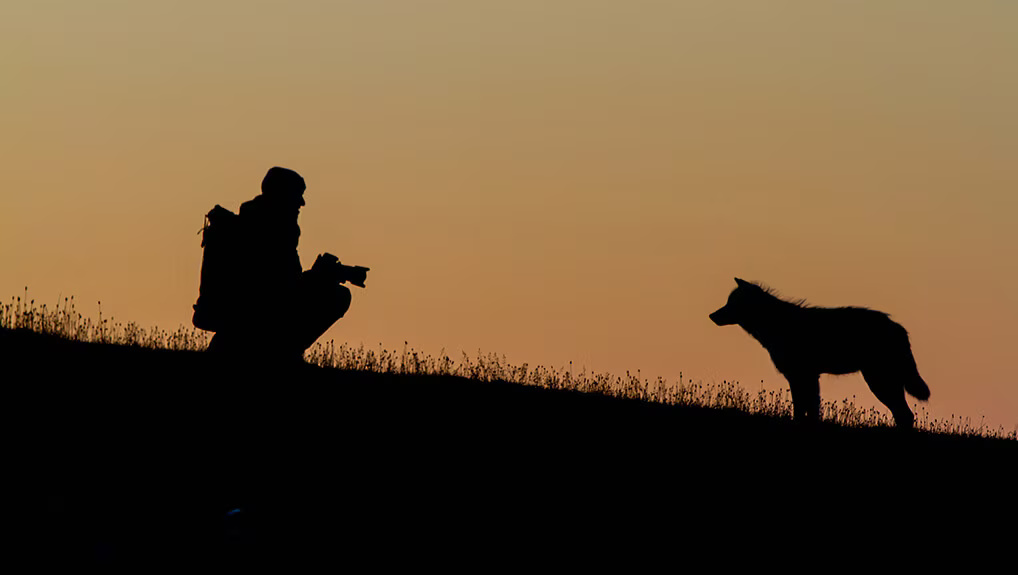 1362dfed-1dea-40da-a4d9-0099d2dcca1f