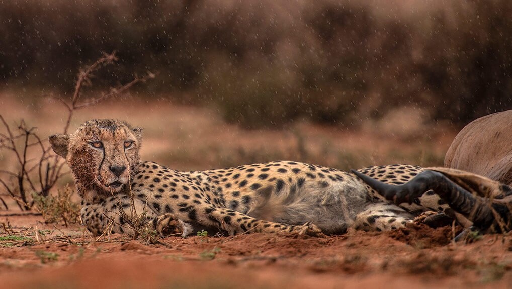 25bc3919-0997-471c-bde2-08e32df01af7