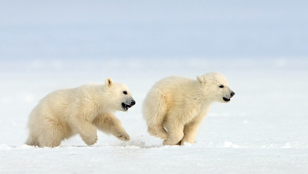 287f7198-951d-4bc4-993f-755719e7abf3