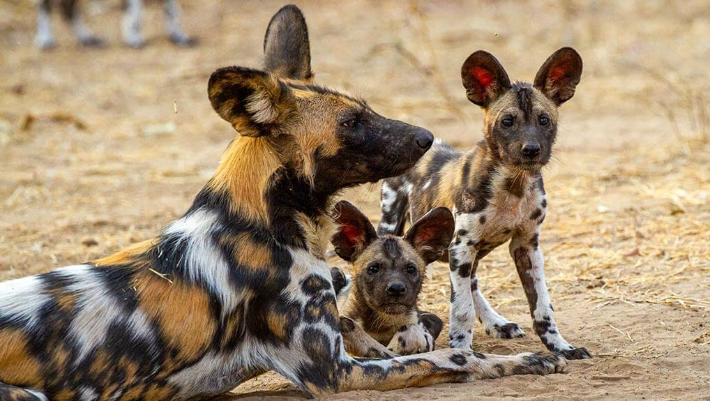 338ec4ef-3097-4859-b8fc-d112bb3f7d33