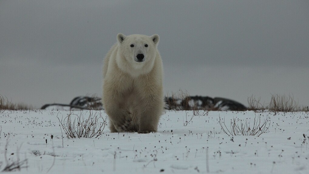 3a4da6f3-497c-4c10-bcb6-27eaad65b0cf