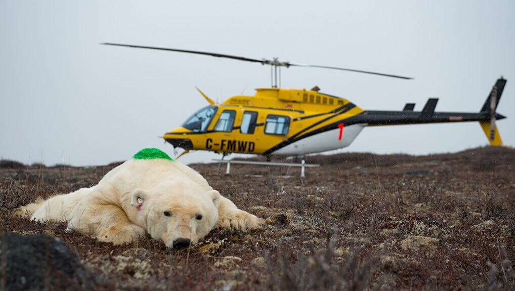 58b6ab6f-58b3-4d19-9ebb-c0537e11b8e5