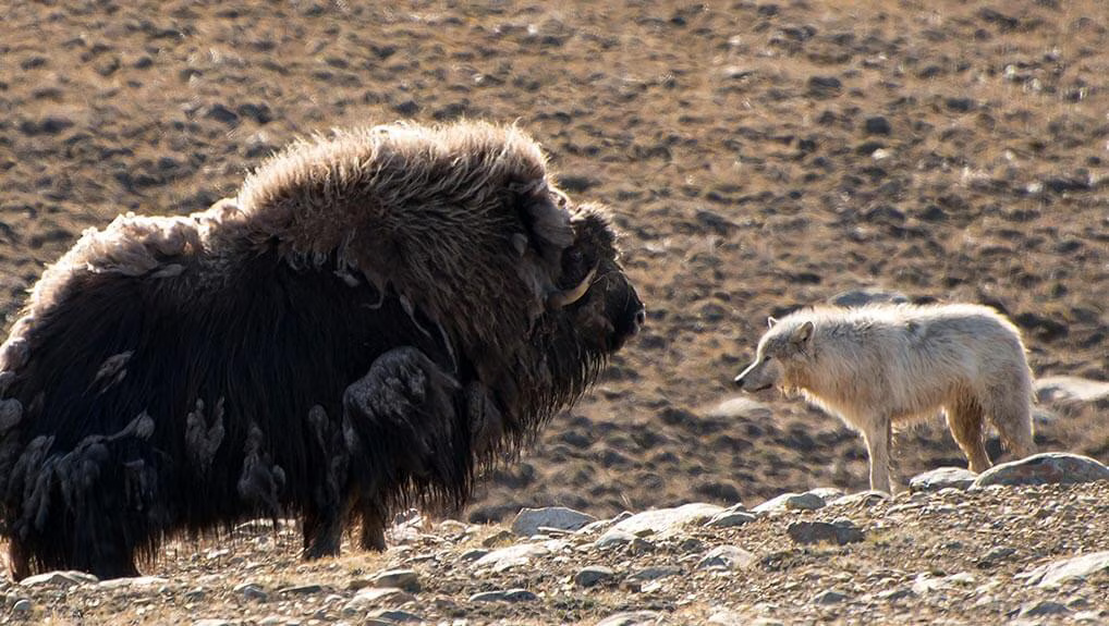 892fc2ec-61ec-4908-a844-f82ddd76d3f2