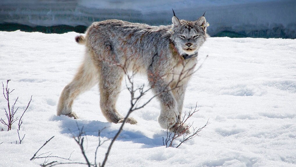 a333b6ca-779d-474f-aecf-d8d385635e6e