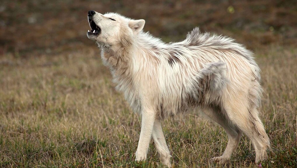 c0fb8665-c849-4014-907f-41edae533173