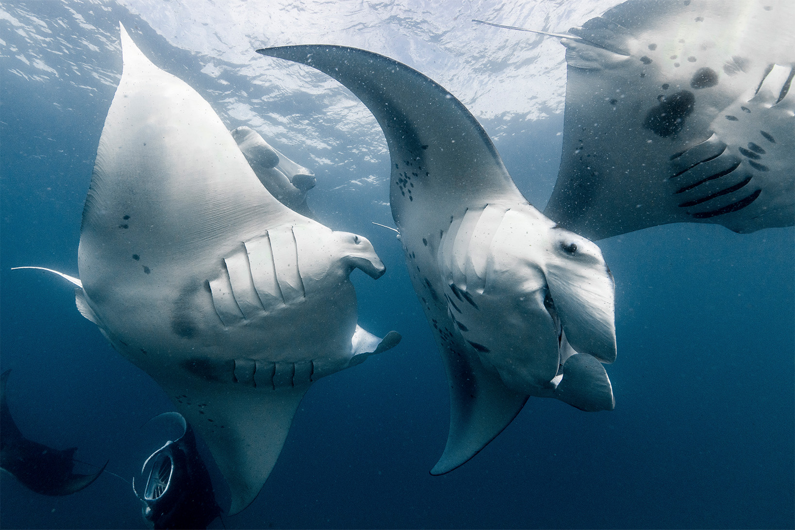 cb1f76ab-40db-41c4-ba65-8e3d6a727d1f