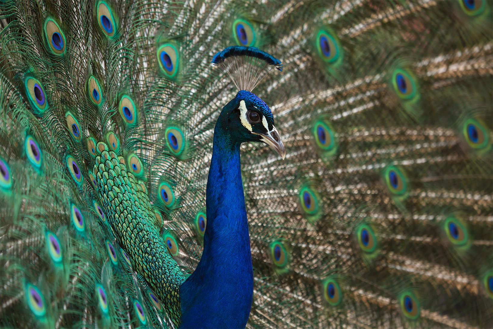 ed800fd0-e950-4ebc-89ad-65ac2bddfbcf