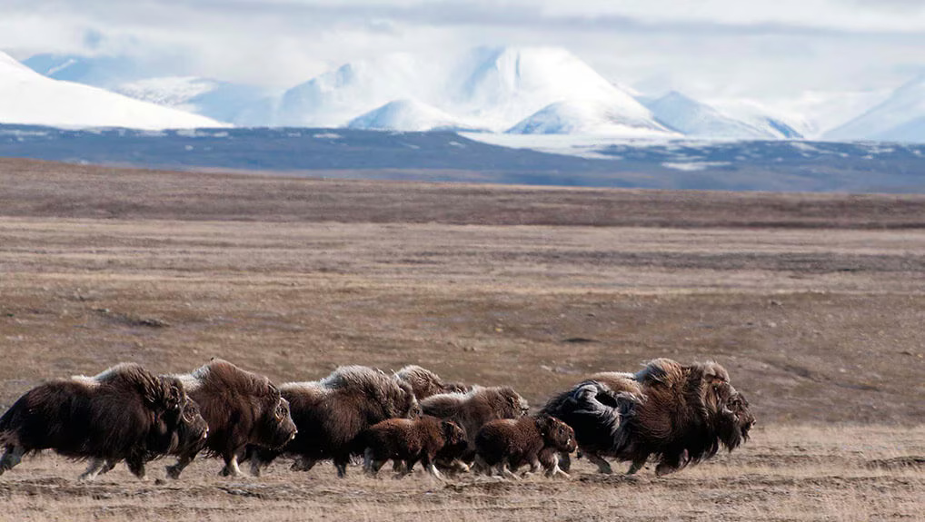 f4251aa3-acd9-4627-bdae-2ce87eb83466